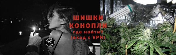 дурь Алзамай