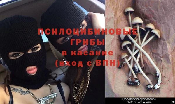 дурь Алзамай